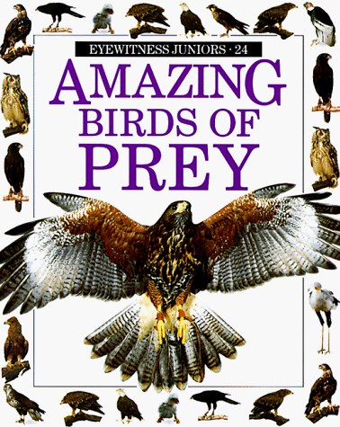 Imagen de archivo de Amazing Birds of Prey (Eyewitness Juniors) a la venta por Montclair Book Center