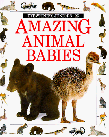 Beispielbild fr Amazing Animal Babies (Eyewitness Junior) zum Verkauf von Wonder Book