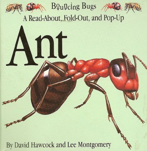 Stock image for ANT (Bouncing Bugs) for sale by Wonder Book