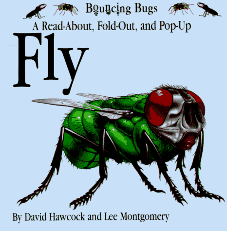 Beispielbild fr FLY (Bouncing Bugs) zum Verkauf von HPB Inc.