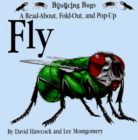 Imagen de archivo de FLY (Bouncing Bugs) a la venta por HPB Inc.