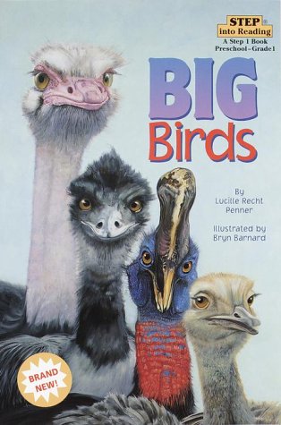 Imagen de archivo de Big Birds (Step into Reading, Step 1, paper) a la venta por Gulf Coast Books