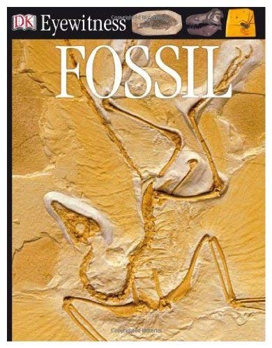 Fossil (9780679904403) by Dorling Kindersley Ltd