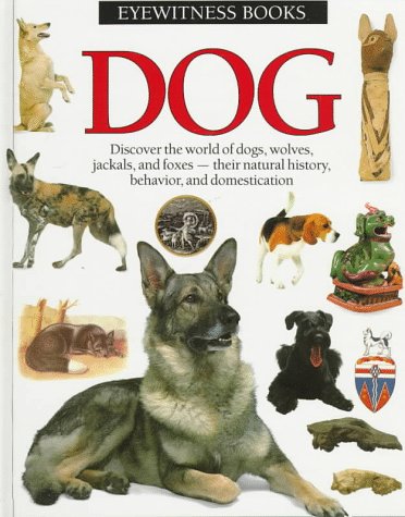 Stock image for Dog (Eyewitness Books) for sale by Hawking Books