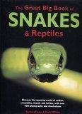 Beispielbild fr The Great Big Book of Snakes and Reptiles zum Verkauf von Better World Books