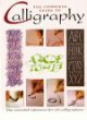 Stock image for The Complete Guide to Calligraphy: the Essential Reference for all Calligraphers for sale by SecondSale