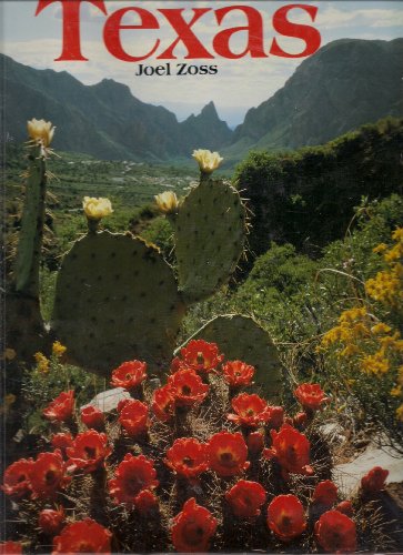 Stock image for Texas for sale by Wonder Book