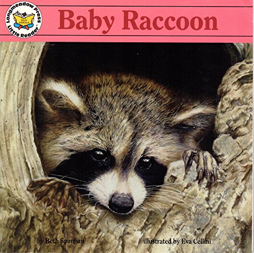 Imagen de archivo de Baby Raccoon a la venta por Once Upon A Time Books