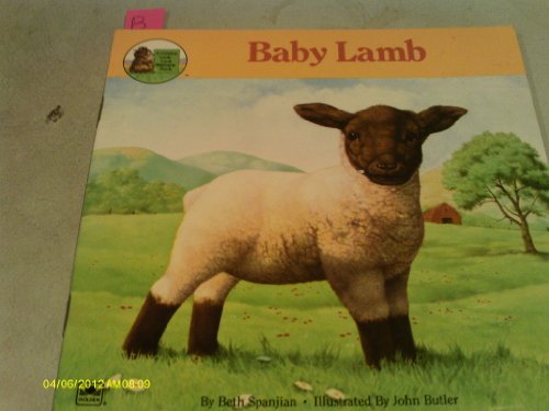 Stock image for Baby lamb (A Golden look-look nature book) for sale by Better World Books