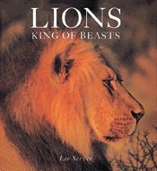 LIONS - King of Beasts