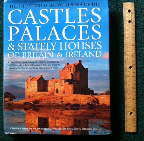 Stock image for Castles Palaces for sale by ThriftBooks-Dallas
