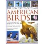 Imagen de archivo de The New Encyclopedia of American Birds a la venta por Your Online Bookstore