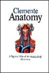 9780683017335: Anatomy: A Regional Atlas of the Human Body