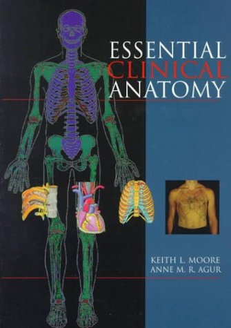 Stock image for Essential Clinical Anatomy for sale by Brit Books