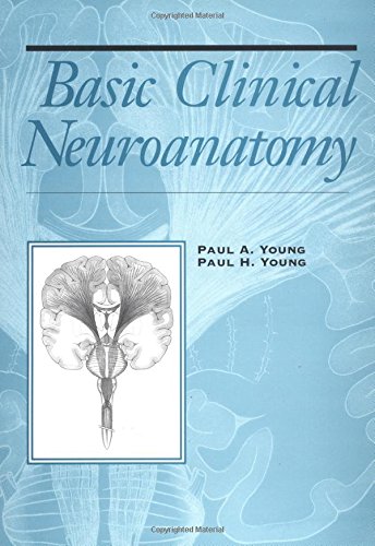 Imagen de archivo de Basic Clinical Neuroanatomy a la venta por Better World Books