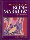 Stock image for Pathology of Bone Marrow for sale by HPB-Red