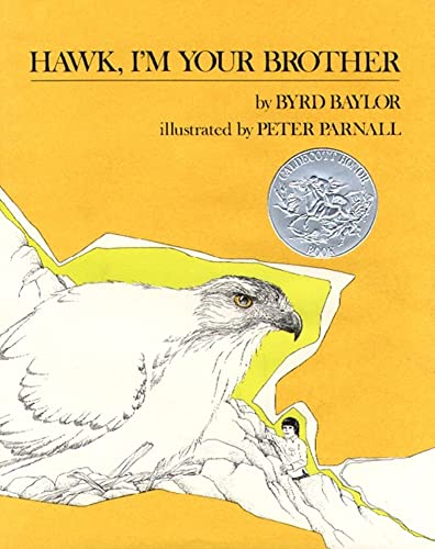 Stock image for Hawk, I'm Your Brother for sale by Your Online Bookstore