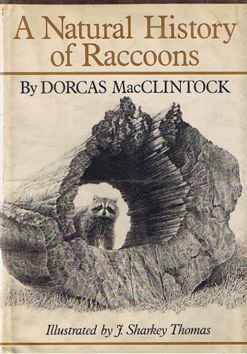 Stock image for Natural History of Raccoons for sale by GF Books, Inc.