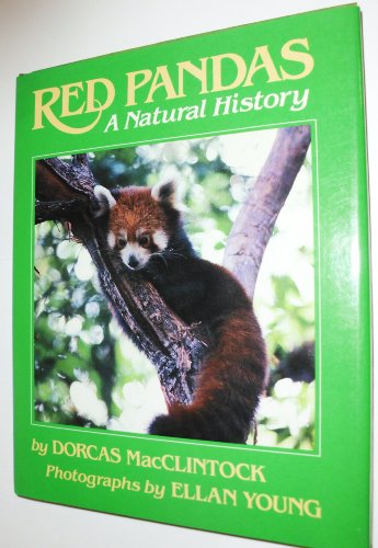 9780684186771: Red Pandas: A Natural History
