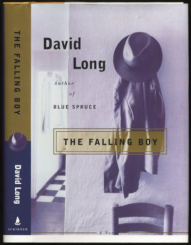 9780684800349: The Falling Boy: A Novel