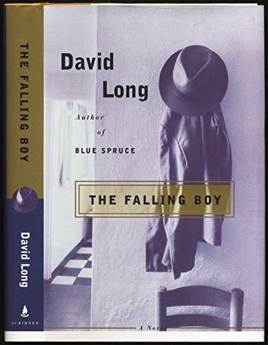 Imagen de archivo de The Falling Boy: A Novel a la venta por Works on Paper