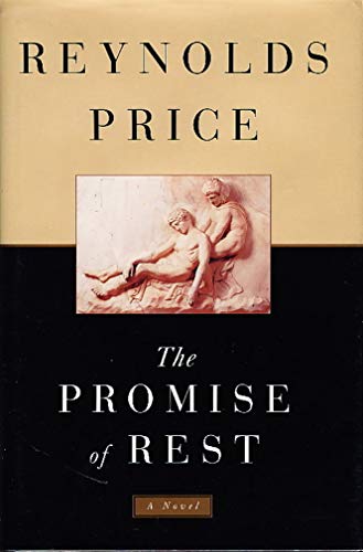 Stock image for The Promise of Rest for sale by SecondSale