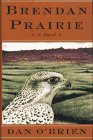 Stock image for Brendan Prairie: A Novel for sale by Once Upon A Time Books