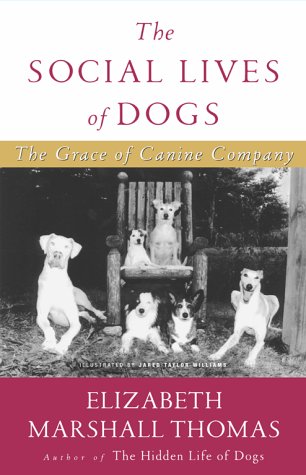 9780684810263: The Social Lives of Dogs: The Grace of Canine Company