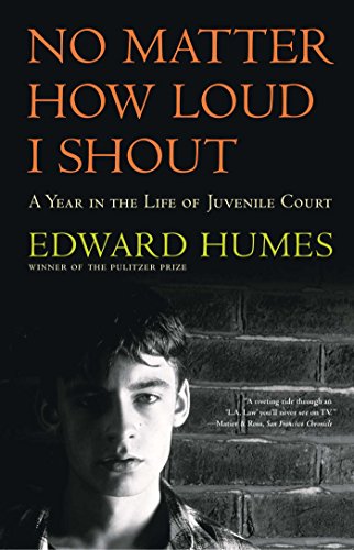 Stock image for NO MATTER HOW LOUD I SHOUT : A Year in the Life of Juvenile Court for sale by Gulf Coast Books