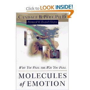 Stock image for Molecules of Emotion: Why You Feel the Way You Do for sale by WorldofBooks