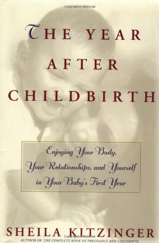 9780684825205: The Year after Childbirth: Enjoy Your Body Your Relationships and Yourself in Your Baby's First Year