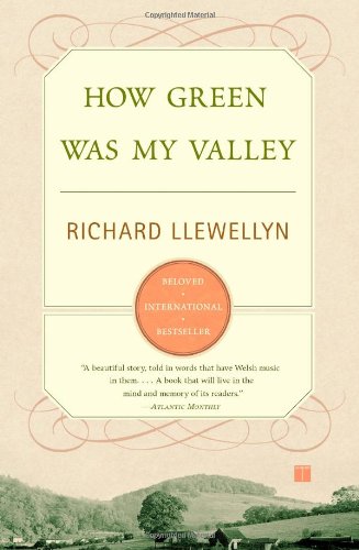 Stock image for How Green Was My Valley for sale by Fallen Leaf Books