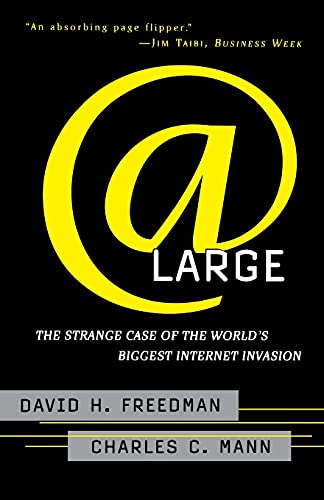 9780684835587: At Large: The Strange Case of the World's Biggest Internet Invasion