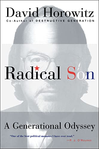 9780684840055: Radical Son: A Generational Oddysey