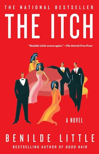 Stock image for The ITCH : A Novel for sale by SecondSale