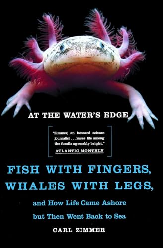 Stock image for At the Water's Edge : Fish with Fingers, Whales with Legs, and How Life Came Ashore but Then Went Back to Sea for sale by ZBK Books