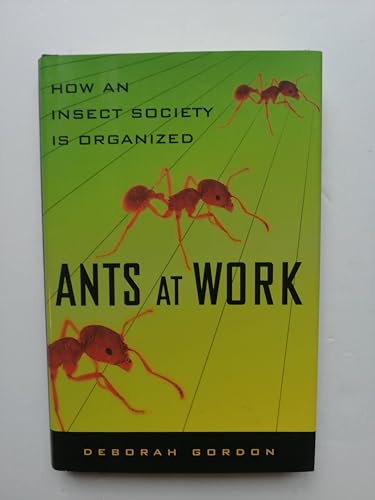 9780684857336: Ants at Work: How an Insect Society is Organized