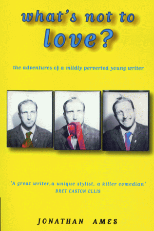9780684861579: What's Not To Love?: The Adventures Of A Mildly Perverted Young Writer
