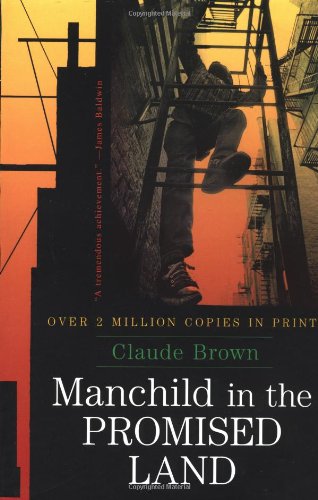 Imagen de archivo de Manchild in the Promised Land a la venta por BookHolders