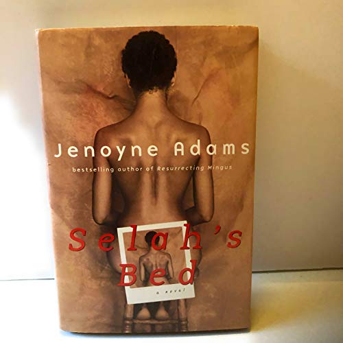 9780684873534: Selah's Bed: A Novel