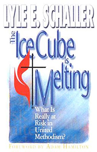 9780687338818: The Ice Cube Is Melting: What Is Really at Risk in United Methodism