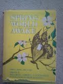 9780687392629: Spring World Awake: Stories Poems and Essays.