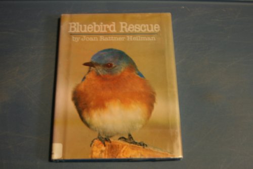 Beispielbild fr Bluebird rescue zum Verkauf von Wonder Book