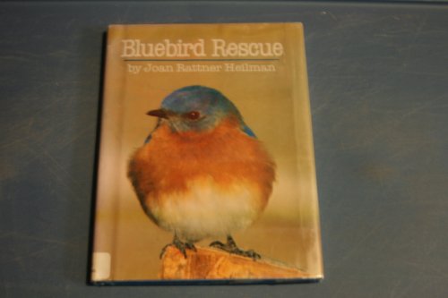 Imagen de archivo de Bluebird rescue a la venta por Wonder Book