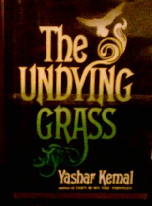 Imagen de archivo de Undying Grass a la venta por Better World Books