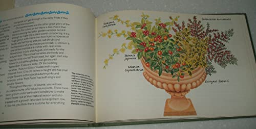 Beispielbild fr The Window Box: Pot, Tub and Basket Book zum Verkauf von Redux Books