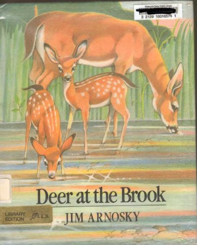 Deer at the Brook (9780688041007) by Arnosky, Jim