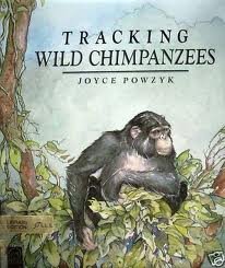 Stock image for Tracking Wild Chimpanzees in Kibira National Park for sale by HPB-Emerald