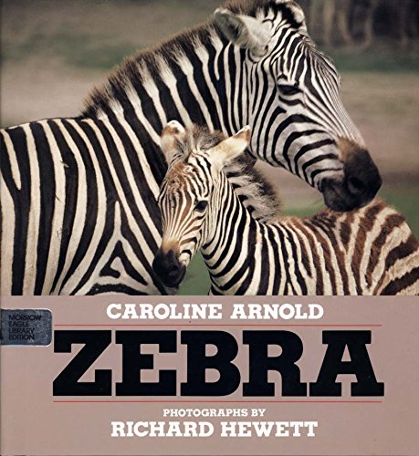 9780688070670: Zebra