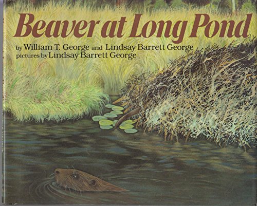 Beispielbild fr Beaver at Long Pond zum Verkauf von ThriftBooks-Dallas